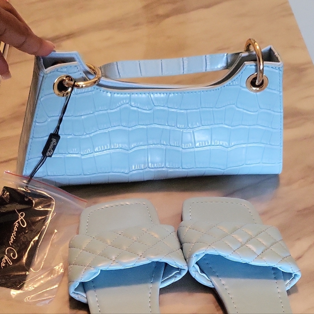Purse with Shoes